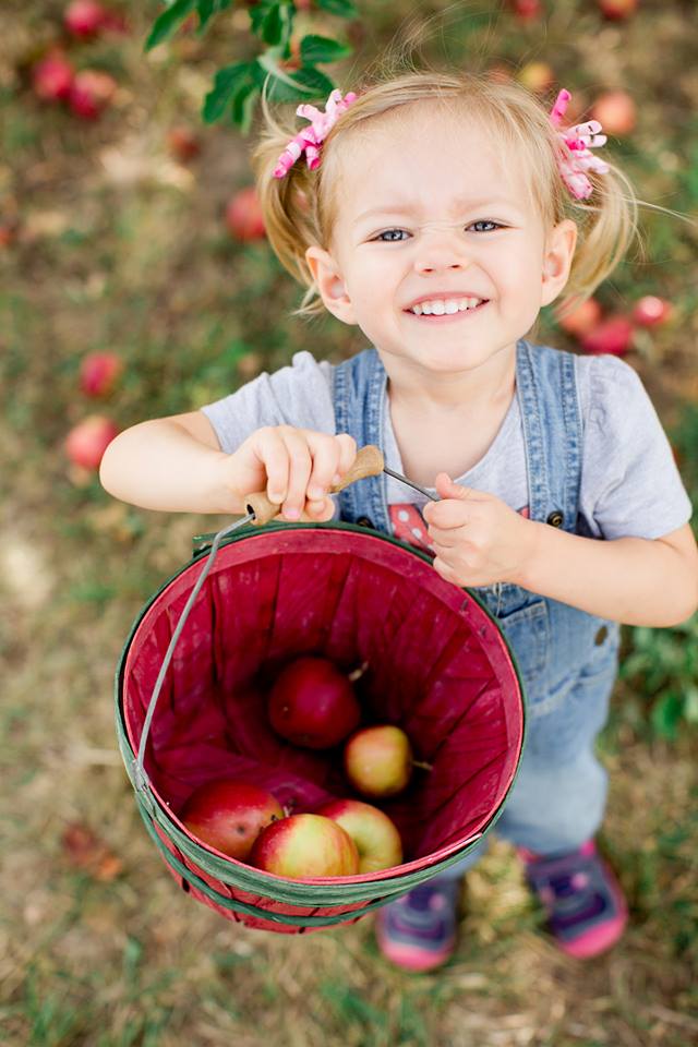 FALL FUN Corn Mazes Pumpkin Patches Apple Picking And More